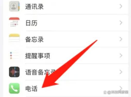 苹果手机无主叫号码怎么消除