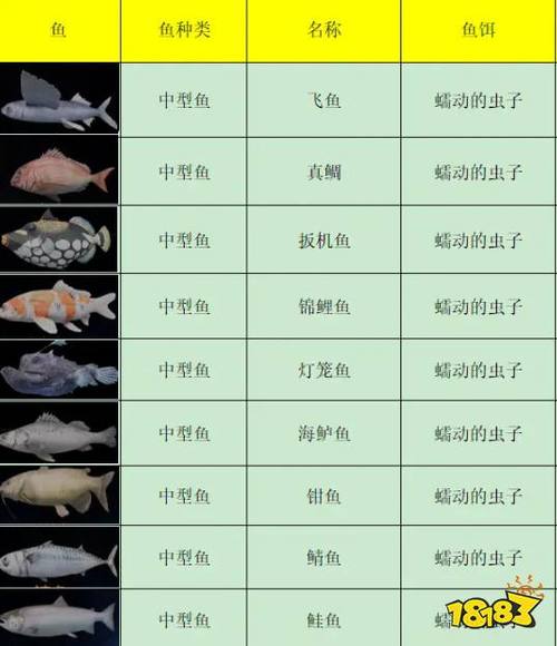 鱼类大全