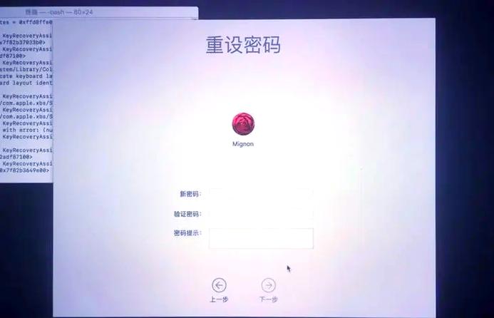 苹果电脑系统密码默认