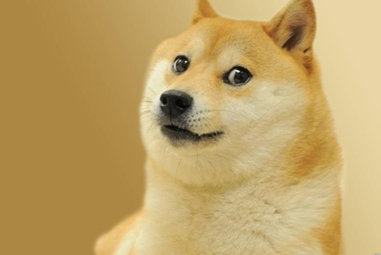 doge小黄狗表情包