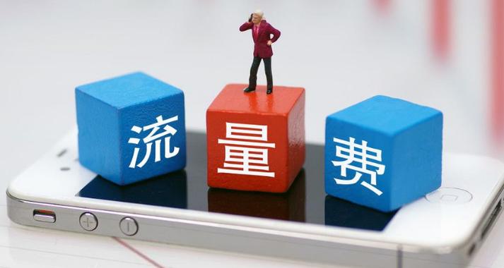 流量守护者 游戏截图