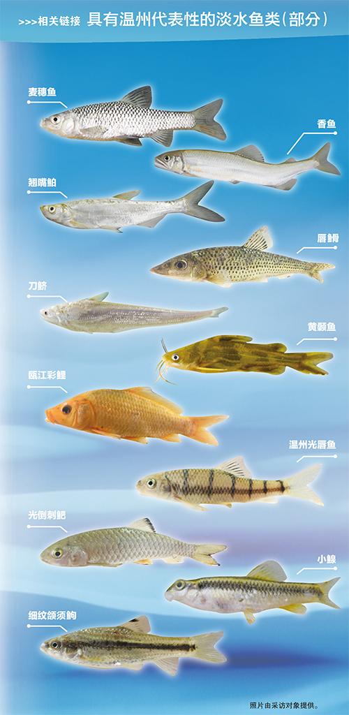 全世界有多少种鱼