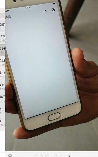 微信小程序防闪白修复包 游戏截图