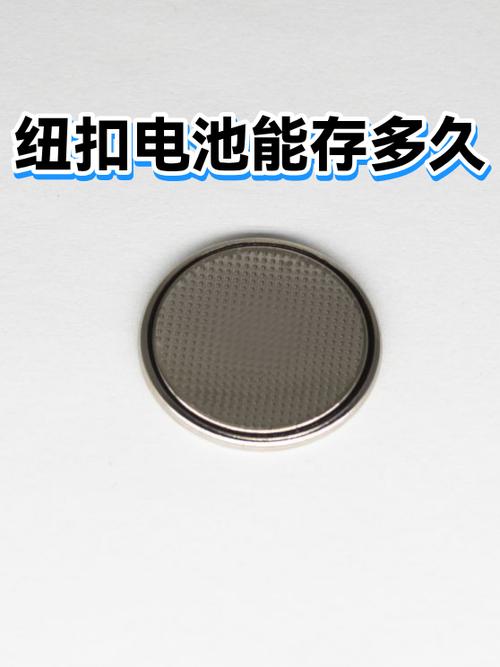 纽扣电池一般能存放多久游戏截图
