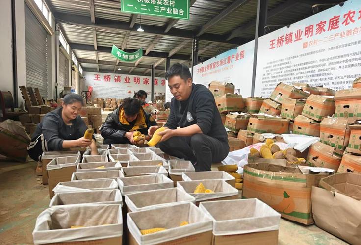红薯最大销售平台图标