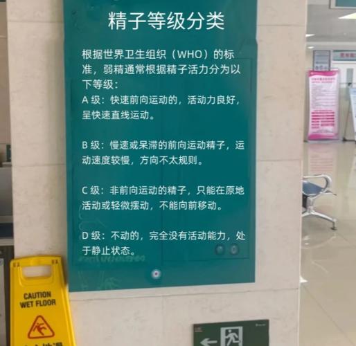 飞机打多了会得弱精症能治吗游戏截图
