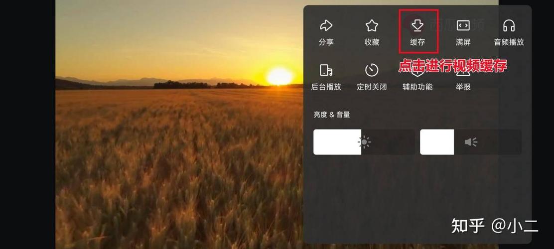 西瓜视频下载保存助手 游戏截图