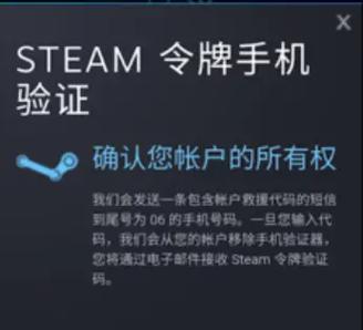 Steam短信解决快车 游戏截图