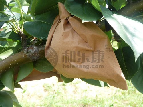 京东果树兑奖找回助手 游戏截图