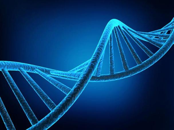 dna testing is also the latest图标