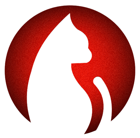 图案是黑色猫咪的app
