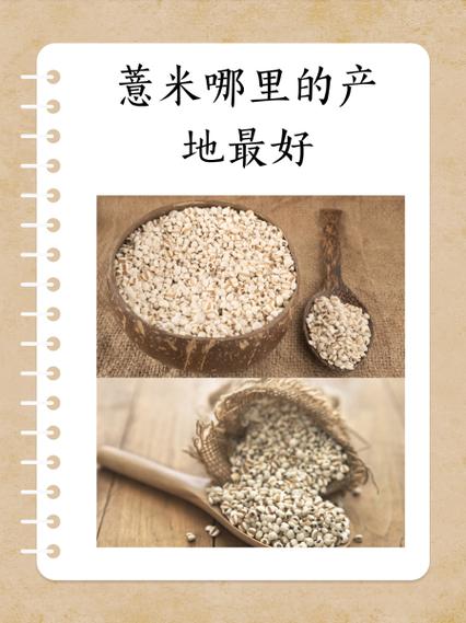 哪里的红豆最好游戏截图