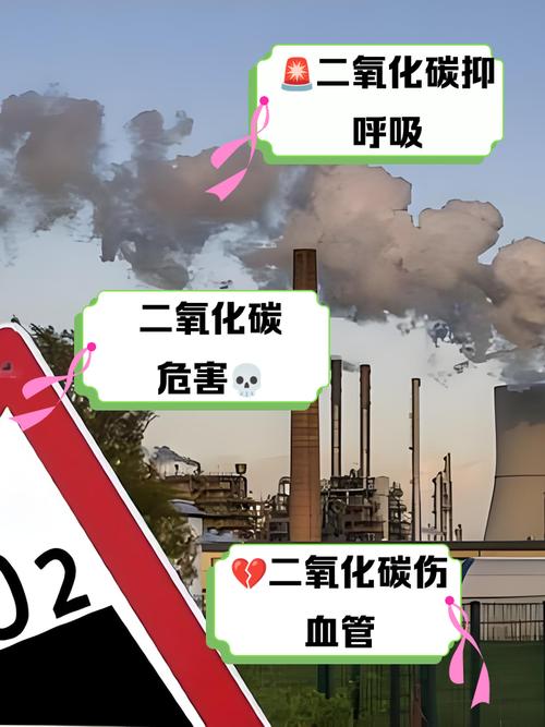 k码支付的好处与坏处
