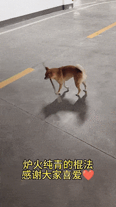 打狗棒法gif