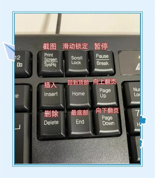 易键鼠怎么用