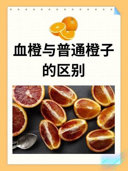 血橙与普通橙的秘密 游戏截图