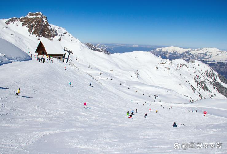 去仙女山看雪必备指南 游戏截图
