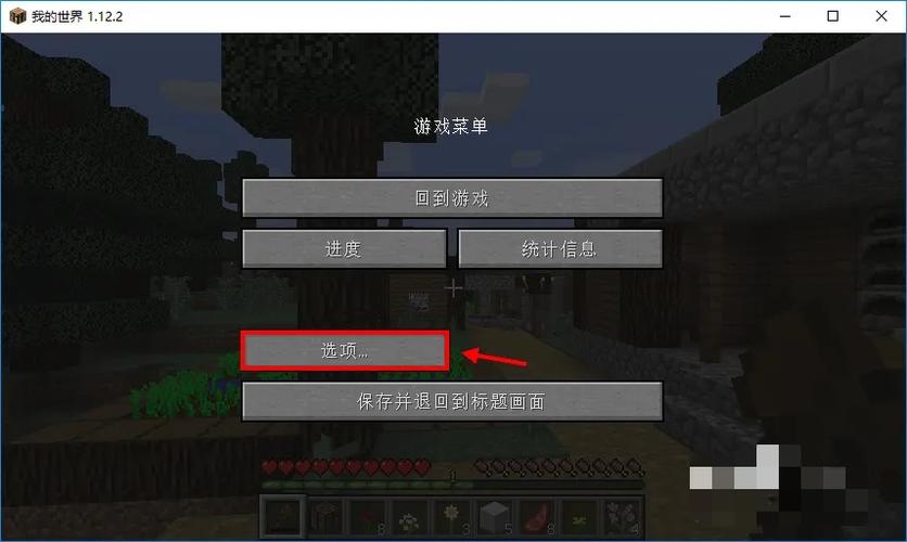 我的世界观赏模式 游戏截图