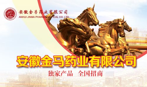 安徽金马医药安装包 游戏截图
