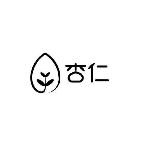 杏仁官网安装截图