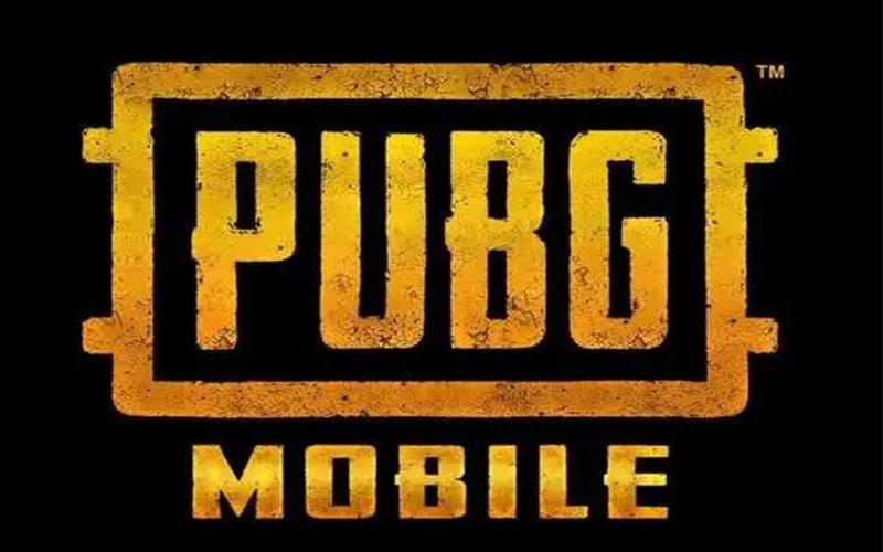 pubg美化包免费软件截图