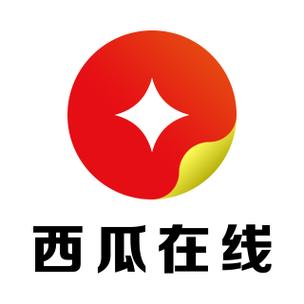 西瓜接码100安图标